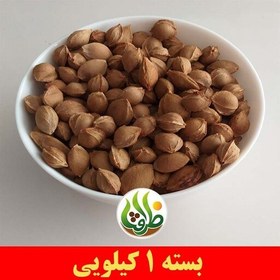 تصویر هسته زردآلو شیرین با پوست درجه یک ظرافت 1 کیلویی 