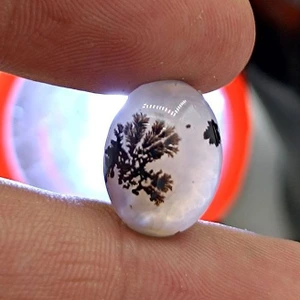 تصویر فروشگاه جواهر خان