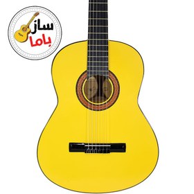 تصویر گیتار دایموند 