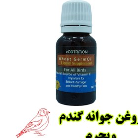 تصویر ویجرم روغن جوانه گندم اکوتریتیون آمریکایی ecotrition