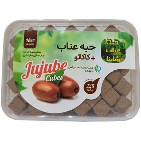 تصویر حبه عناب و کاکائو شاینا - 225 گرم 