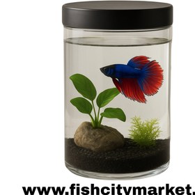 تصویر تنگ ماهی نور‌دار با طراحی مدرن و باتری‌خور 