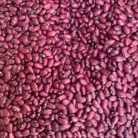 تصویر لوبیا قرمز - نیم کیلو گرم 