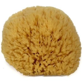 تصویر لیف و اسفنج حمام اورجینال برند Yeni hediyelik dunyam مدل Organic Small Sea Sponge کد 348818387 