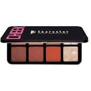 تصویر پالت رژگونه کرکتر 