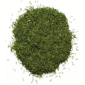 تصویر سبزی خشک شوید 300 گرم 