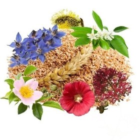 تصویر معجون اعصاب 