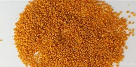 تصویر گرده گل طبیعت 