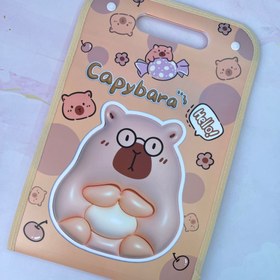 تصویر پوشه دیوایدری 