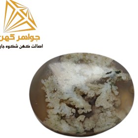 تصویر نگین شجر بهاری (کد۷۶) 