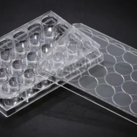 تصویر سرسمپلر زرد R/D FREE 