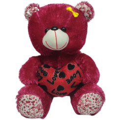 تصویر خرس قلب به دست 35 سانتی متری 