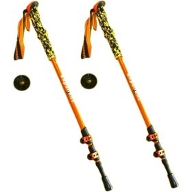 تصویر عصای کوهنوردی اکسپوننت دوعددی 