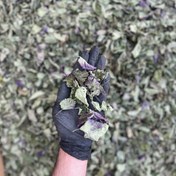 تصویر بادرنجبویه ملیس دستچین خشک 