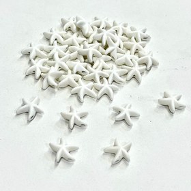 تصویر ستاره دریایی 