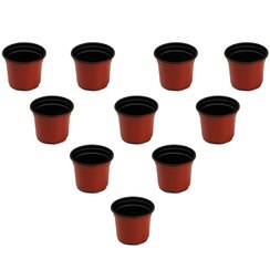 تصویر مجموعه 10عددی گلدان ژله ای سایز 10 ارتفاع 9 سانتی متر 