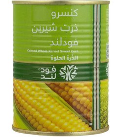 تصویر کنسرو ذرت شیرین 380 گرمی فودلند 