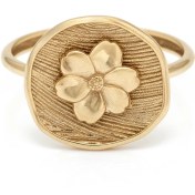 تصویر انگشتر سکه بهار 