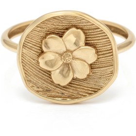 تصویر انگشتر سکه بهار 