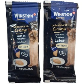 تصویر بستنی گربه وینستون با طعم جگر Winston Cat Ice Cream with Fresh Liver Flavor