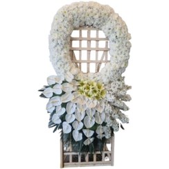 تصویر تاج گل بانو 