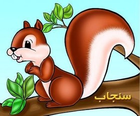 تصویر سنجاب (حیوانات مزرعه) 