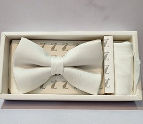 تصویر پاپیون P12 