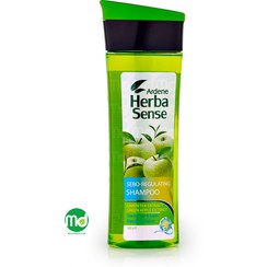 تصویر شامپو کراتینه موی چرب هرباسنس آردن 300g 