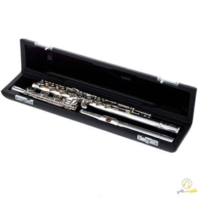 تصویر فلوت سانکیو مدل CF401RBE 