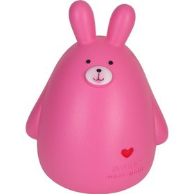 تصویر قلک خرگوش 