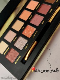 تصویر خرید و قیمت پالت سایه دیسکاوری Discovery - رنگ نود Discovery Shadow Palette