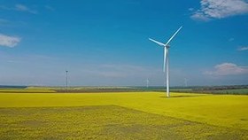 تصویر دانلود فوتیج آسیاب های بادی در مزارع Windmills On The Fields 