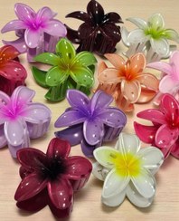 تصویر کلیپس پلومریا رنگی ۸ سانت (۰۳۰۳۰۰۱۰) کد(۲) کلیپس کریستالی پلومریا