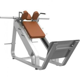 تصویر دستگاه هاگ پا 45 درجه Precor(cybex) 