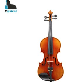 تصویر ویولن فونیکس مدل VP601 سایز 4/4 Phoenix VP601 4/4 Violin