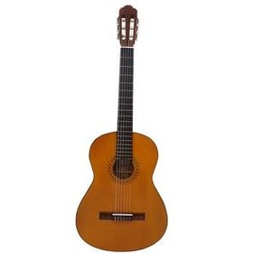 تصویر گیتار پارسه مدل M2 