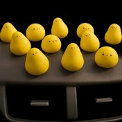 تصویر جوجکای روداشبوردی 