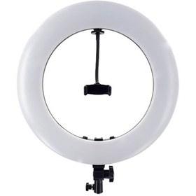 تصویر رینگ لایت هارمونی فوتو Harmony Photo FE-1000 Ring Light 