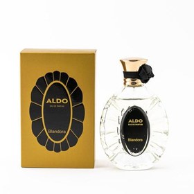 تصویر عطر ادکلن آلدو 100 میل 