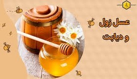 تصویر عسل زول 