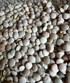 تصویر عدس پلویی کانادایی Lenti rice