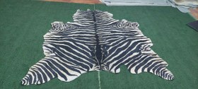 تصویر پوست گورخر ا Zebra print Zebra print