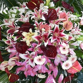 تصویر تاج گل سانا 