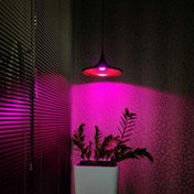 تصویر لامپ رشد 30 وات فول اسپکتروم- Grow Light 