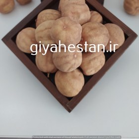 تصویر لیمو عمانی یک کیلویی 