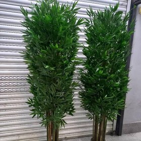 تصویر درختچه مصنوعی بامبو قد 190 پر حجم وسوپر طبیعی 