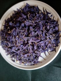 تصویر گل گاوزبان 