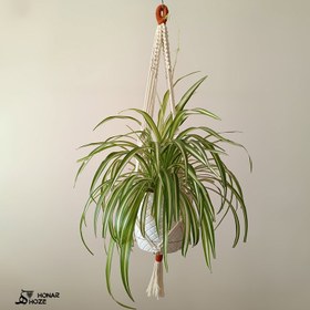 تصویر آویز گلدان مکرومه مدل پناه 