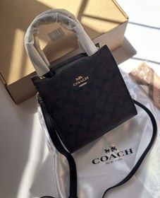 تصویر کیف کوچ ایستاده 