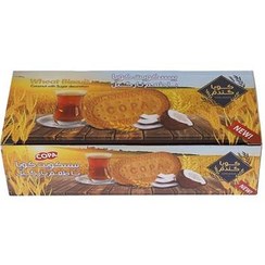تصویر بیسکویت گندم با طعم نارگیل 450گ کوپا 